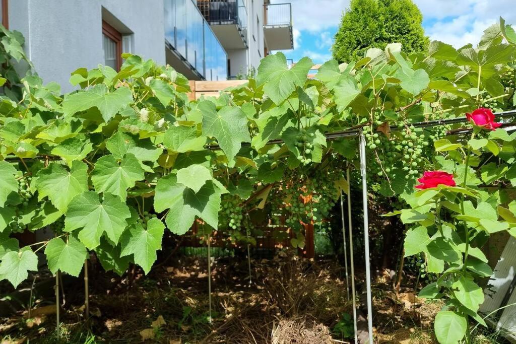 Luxury Garden Apartment Varsó Kültér fotó