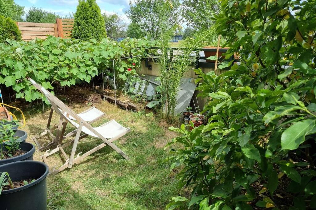 Luxury Garden Apartment Varsó Kültér fotó